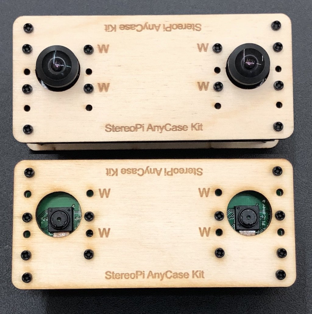 AnyCase setup: two cameras from the back side of the plate