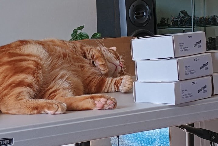 The team resting after a hard day of work