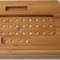 Stenosaurus Prototype Enclosure