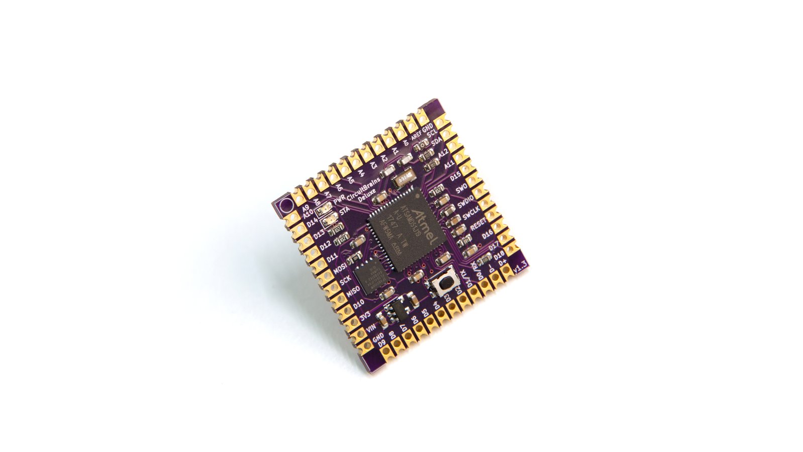CircuitBrains Deluxe