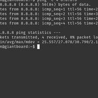 Ping