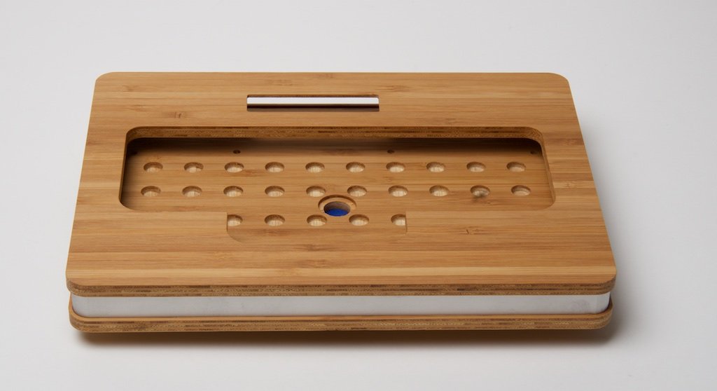 Stenosaurus Prototype Enclosure