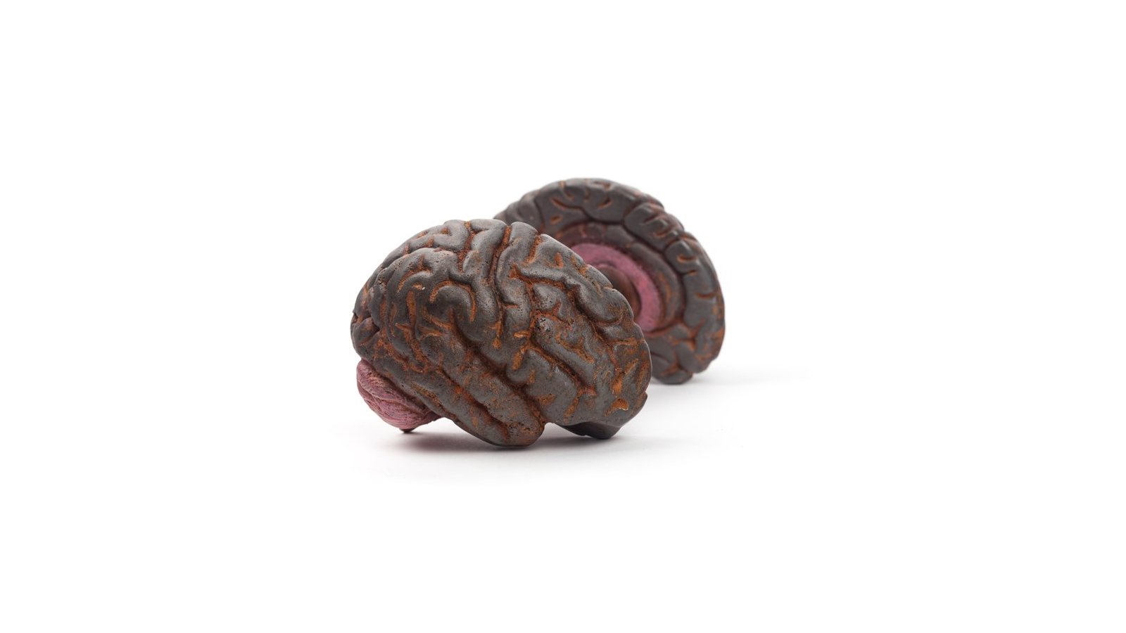 Brain Dumbell