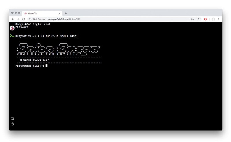 The Terminal app gives you a commandline interface directly from your browser.