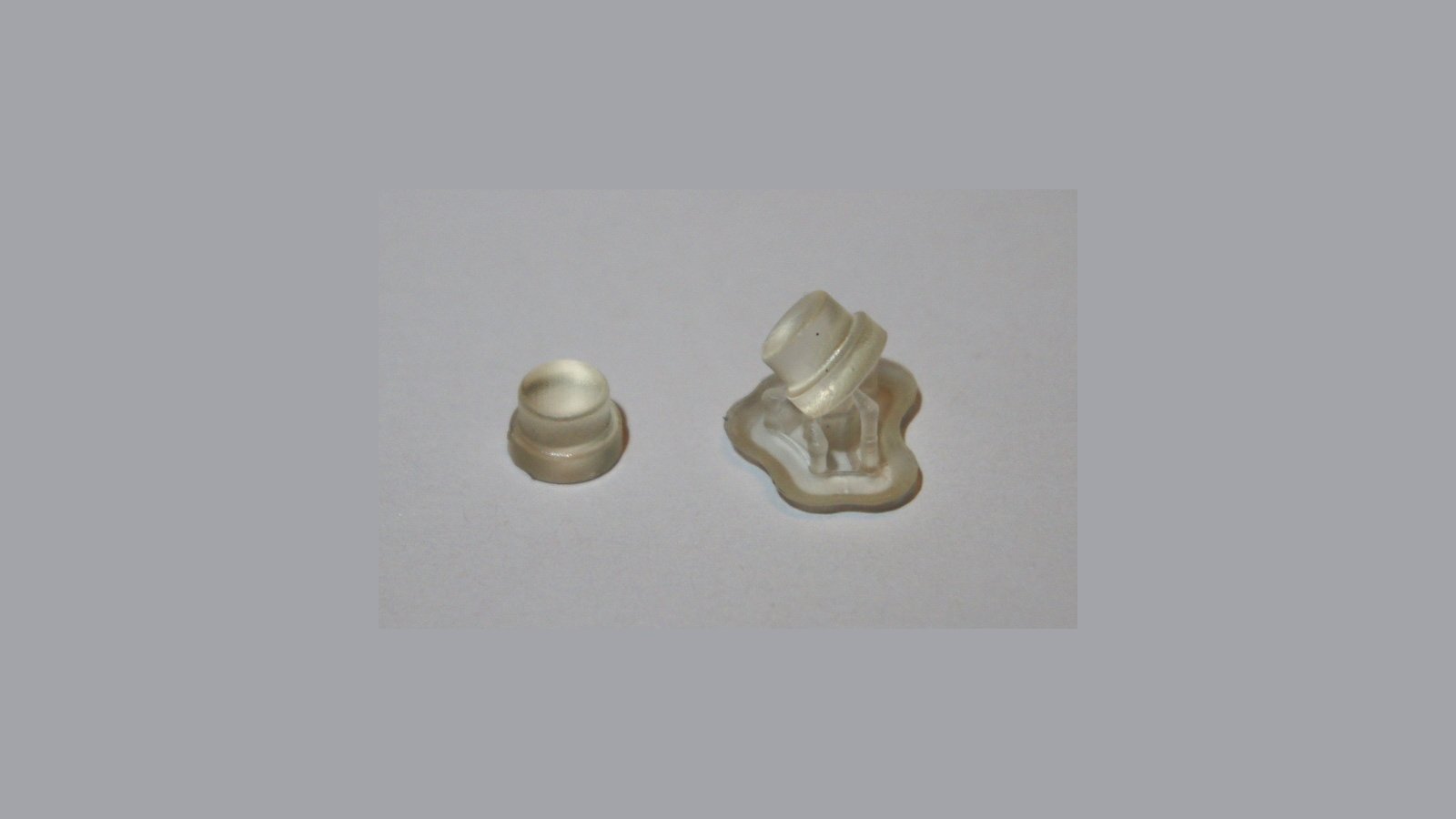 Signet Button