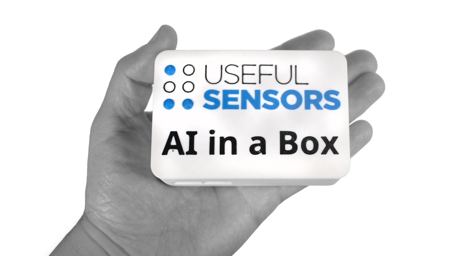 AI in a Box