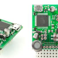Labrador Angle & Breadboard