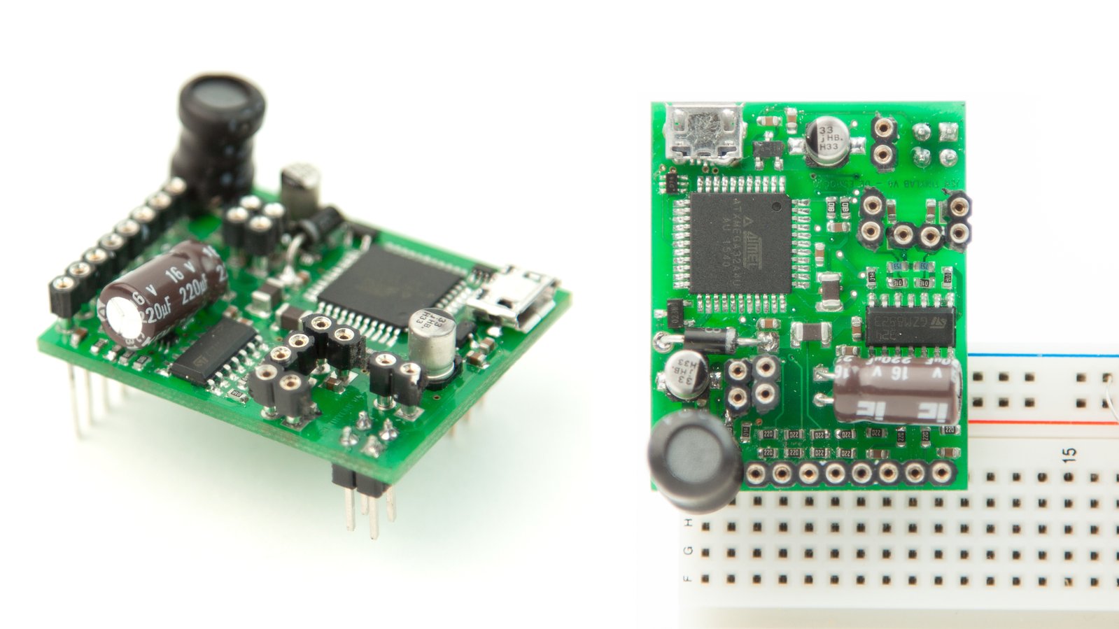 Labrador Angle & Breadboard