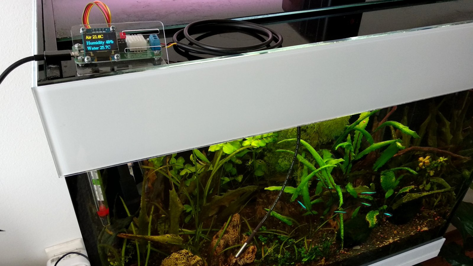 ANAVI Thermometer in fishtank