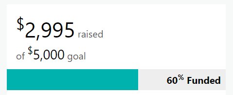 Screenshot showing 60% funding reached