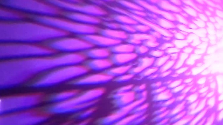 myki LED light Wall Shadow