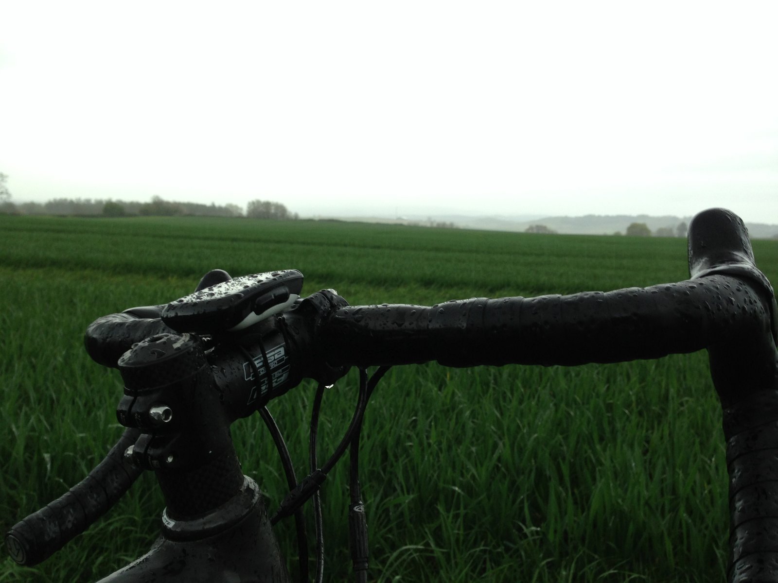 Handlebars