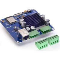 Esparagus Audio Brick