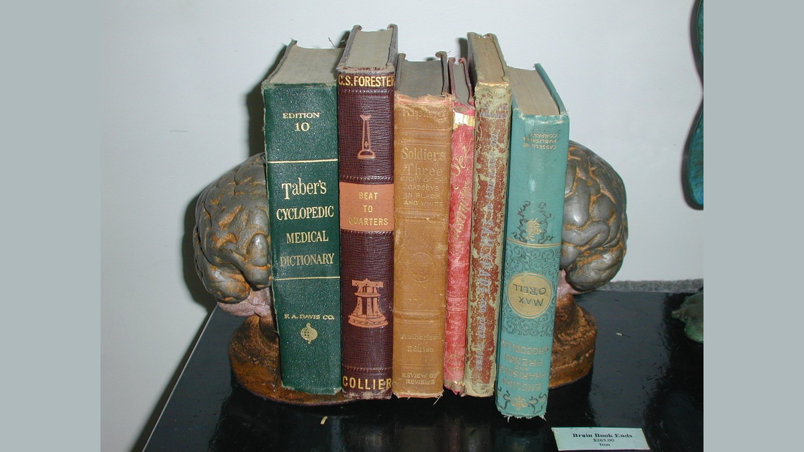 Brain Bookends 