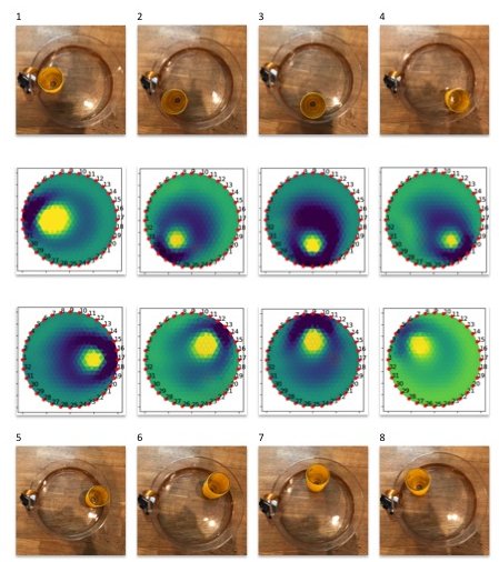 This shows how the position of a cup can be reconstructed with only electrical signals