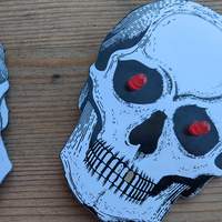 Updates from The Skull CTF | Crowd Supply