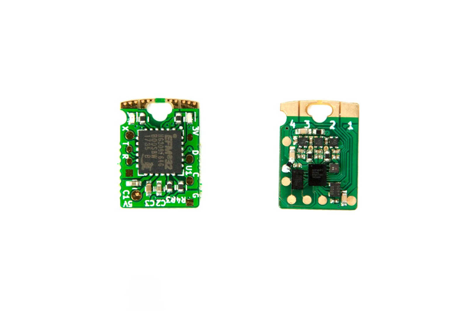 Tomu (left) and Fomu (right) 