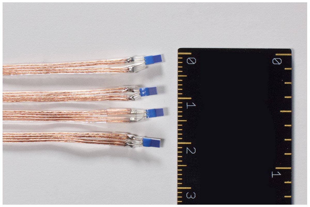 Closeup of RTD Sensor Elements