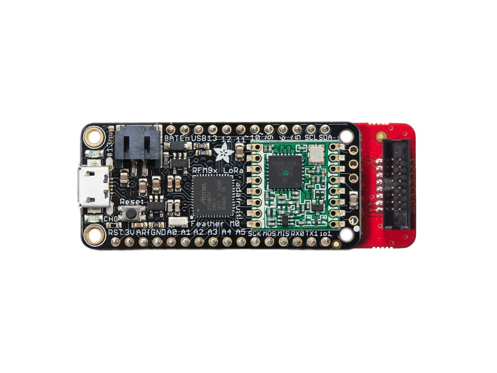 SenseTemp with an Adafruit M0 LoRa