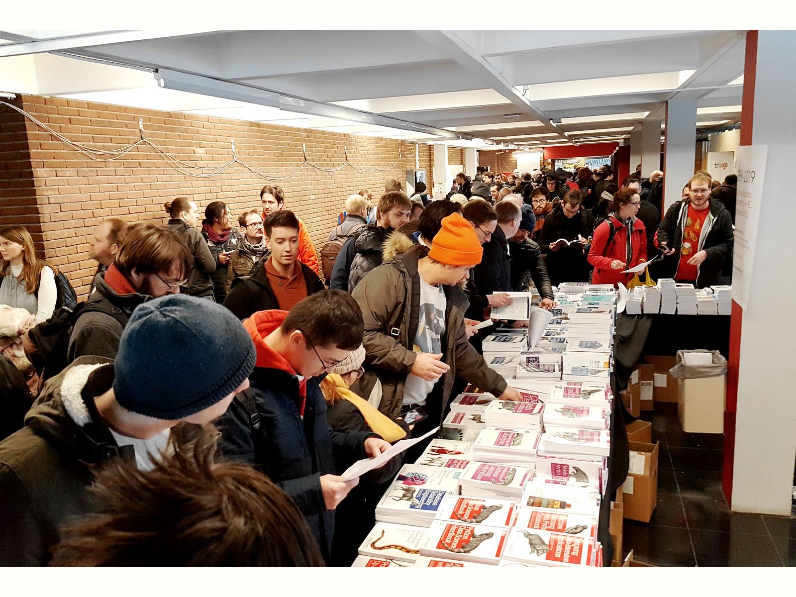 Tinusaur at FOSDEM 2019