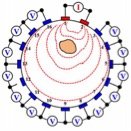 Current stimulation and equipotential lines for a single measurement.
