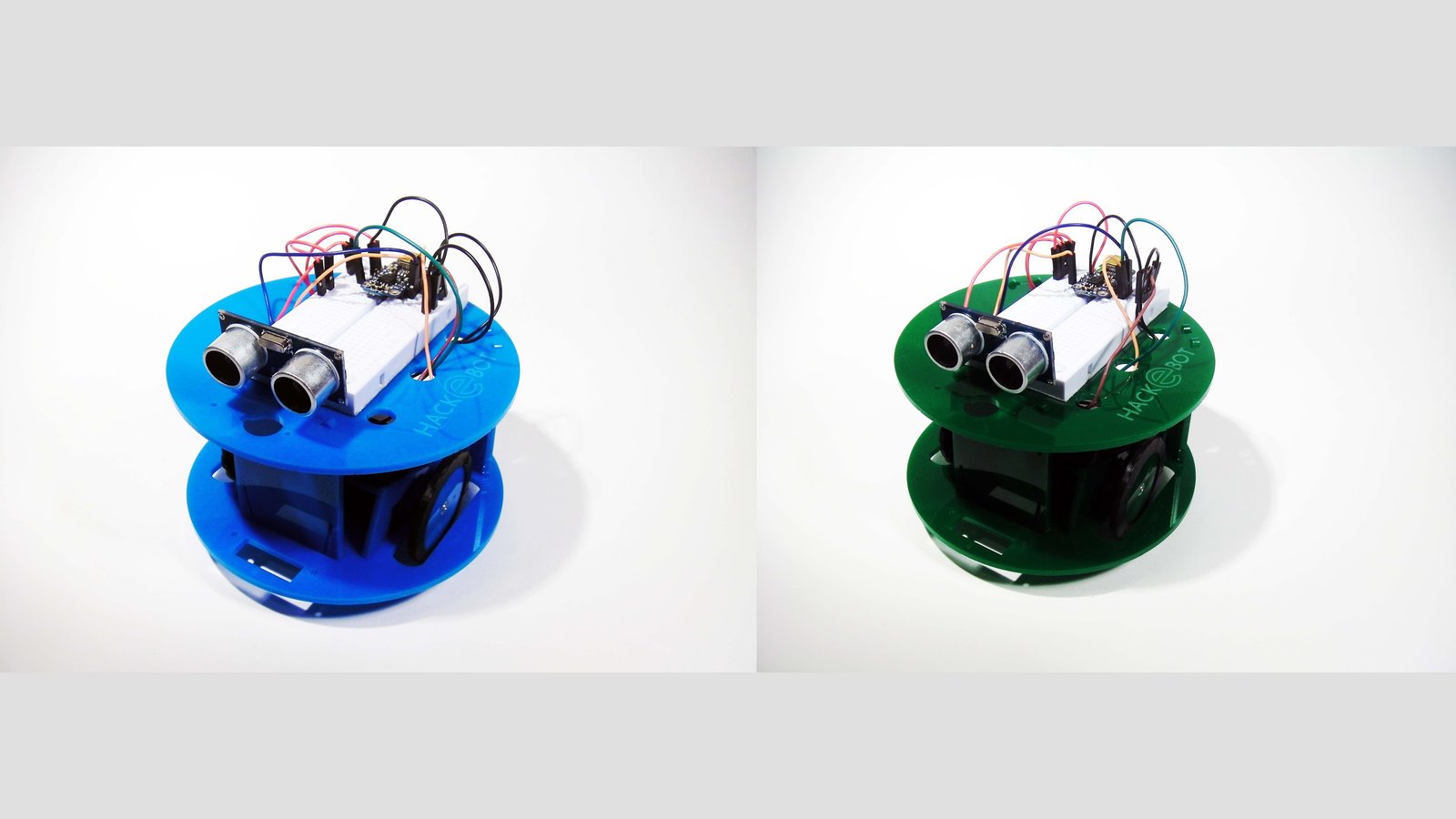 Two Hack-E-Bots