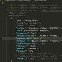 launch.json