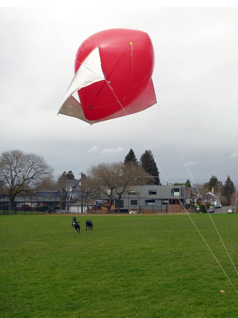 baby airpup