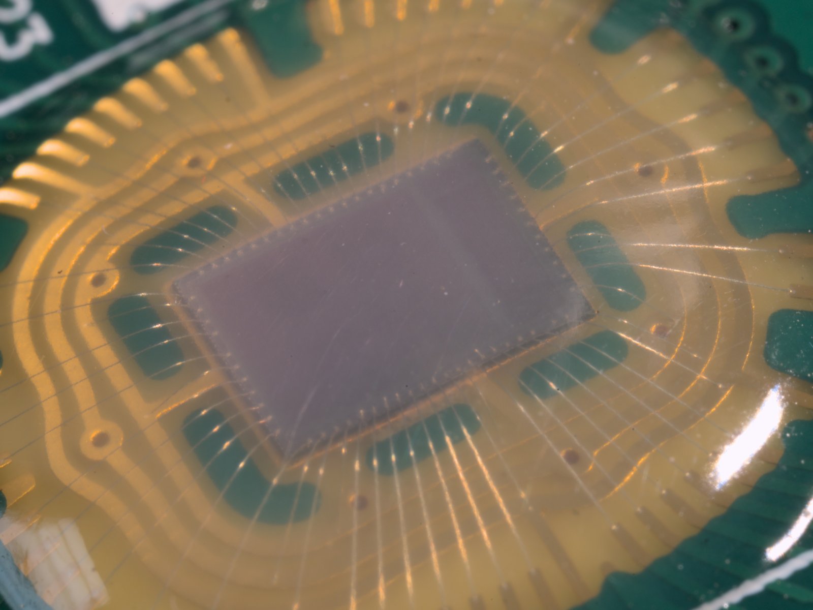 Chip on Board Semiconductor