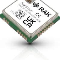 RAK3172 LoRaWAN module