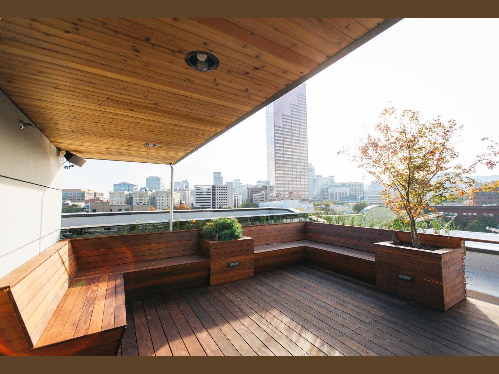 The Society Hotel - Rooftop