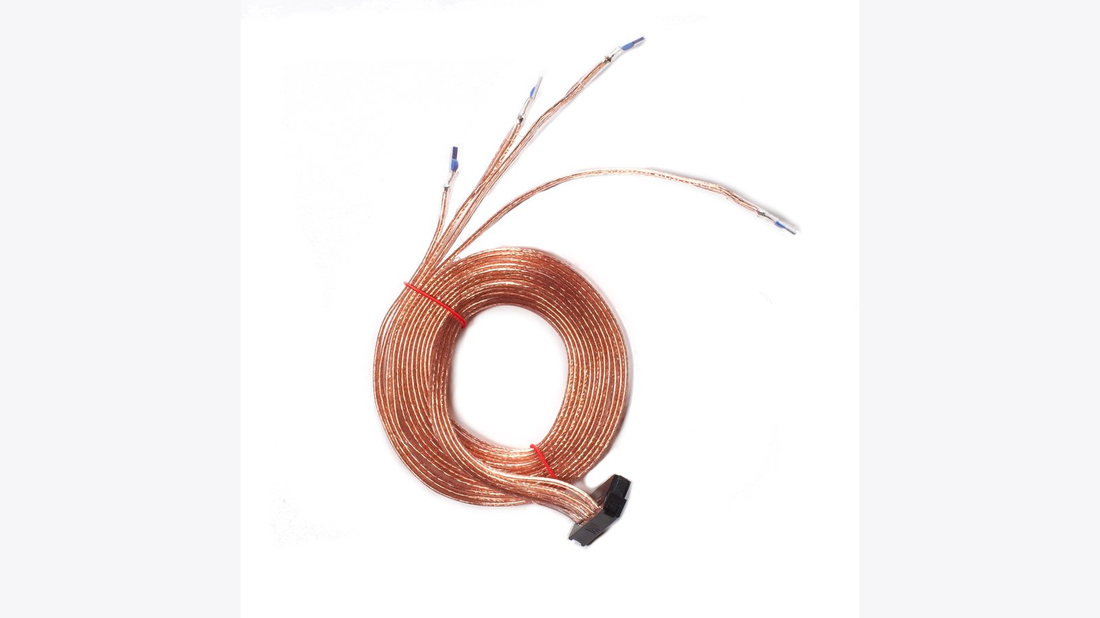 RTD Sensor Harness
