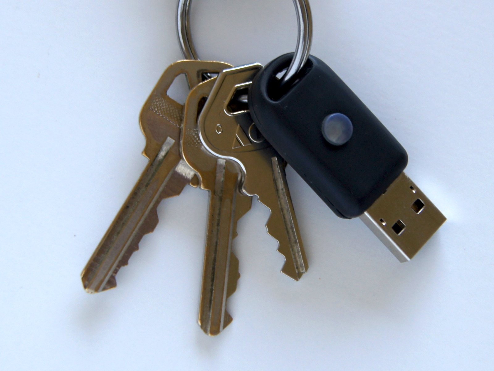 Signet hardware password manager